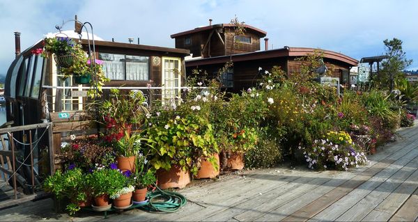 houseboat maison flottante Sausalito