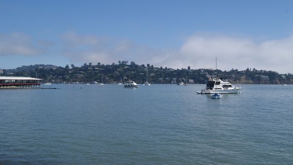 Vue sur la baie de San Francisco de Bridgeway Sausalito