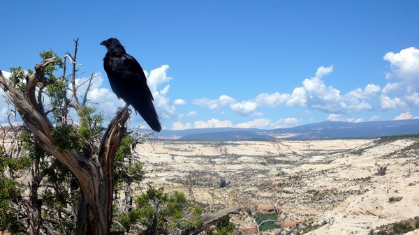 Blues Overlook Utah
