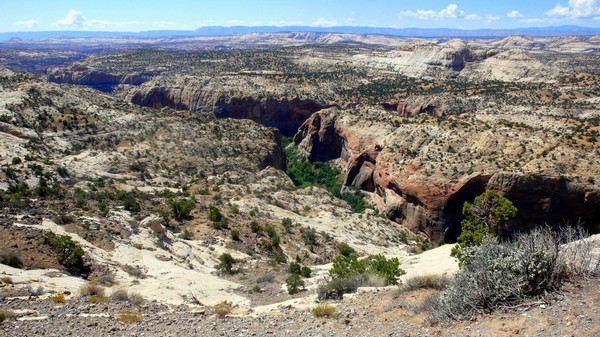 Vue de la route sur le Canyon de Calf Creek Utah
