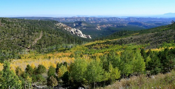 Boulder Mountain Utah