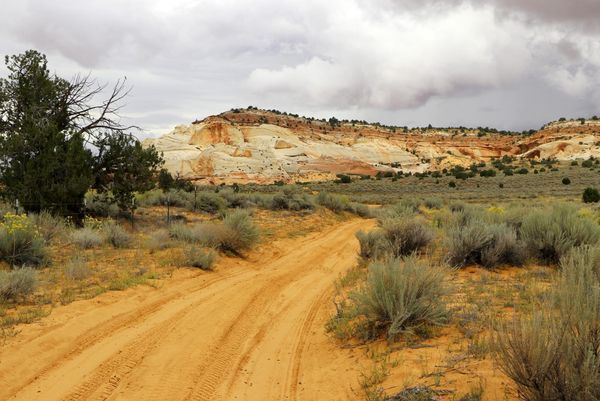 Un aperçu de la piste sablonneuse qui mène à White Pocket Arizona