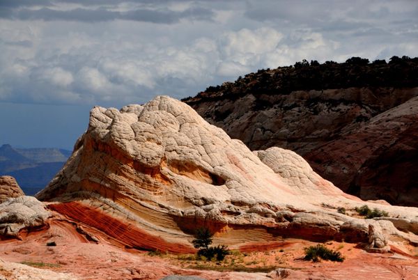White Pocket Arizona