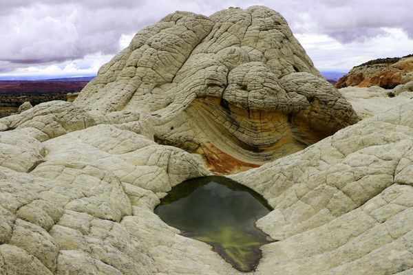 Ninja Turtle at White Pocket Arizona