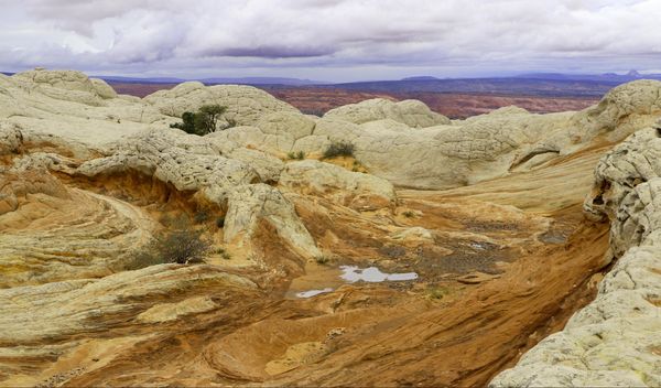 White Pocket Arizona