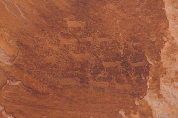 Pétroglyphes indiens White Pocket Arizona