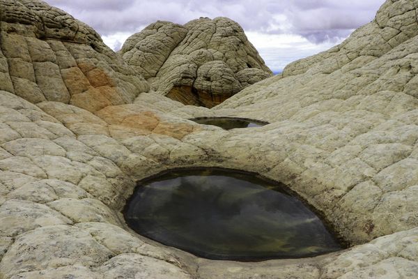 Roche en cauliflower White Pocket Arizona