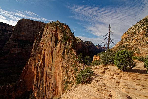 The Hogsback