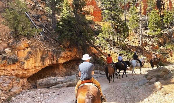 randonnée à cheval à Red Canyon
