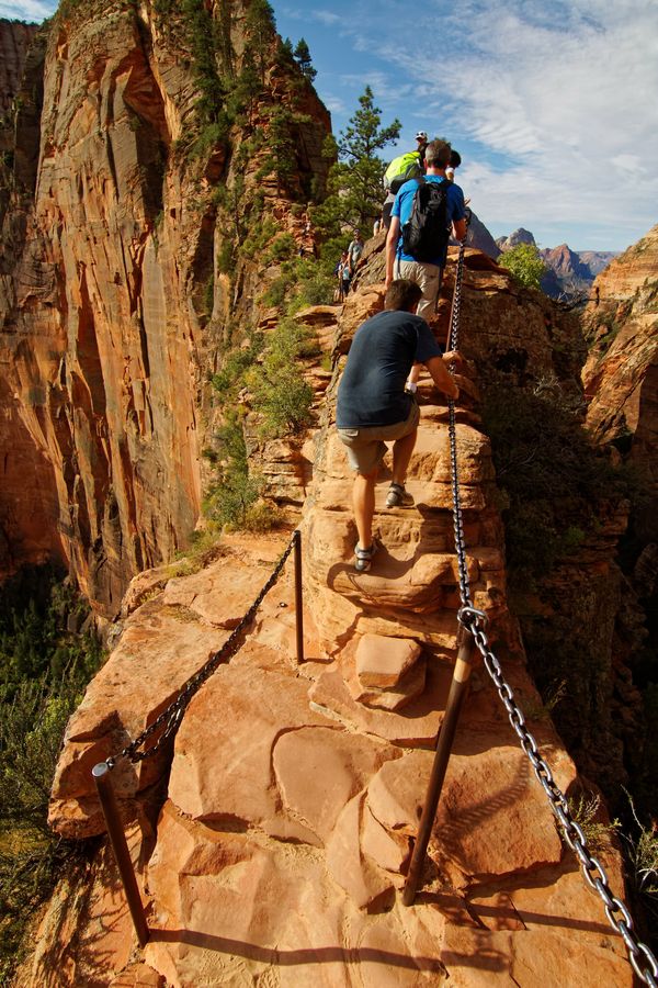 The Hogsback