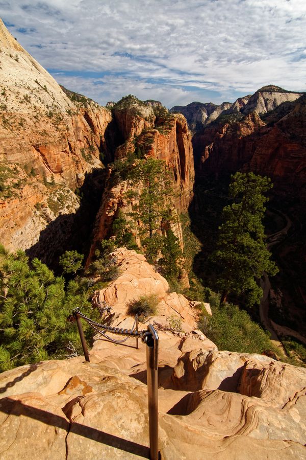 The Hogsback