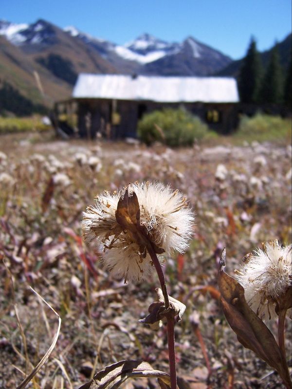 Animas Forks Colorado