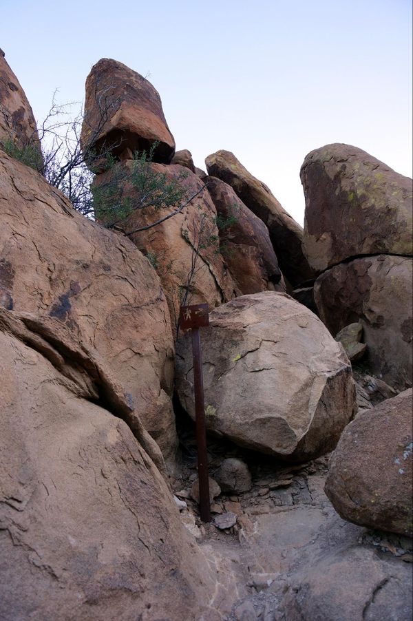 Grapevine Hills Trail Big Bend