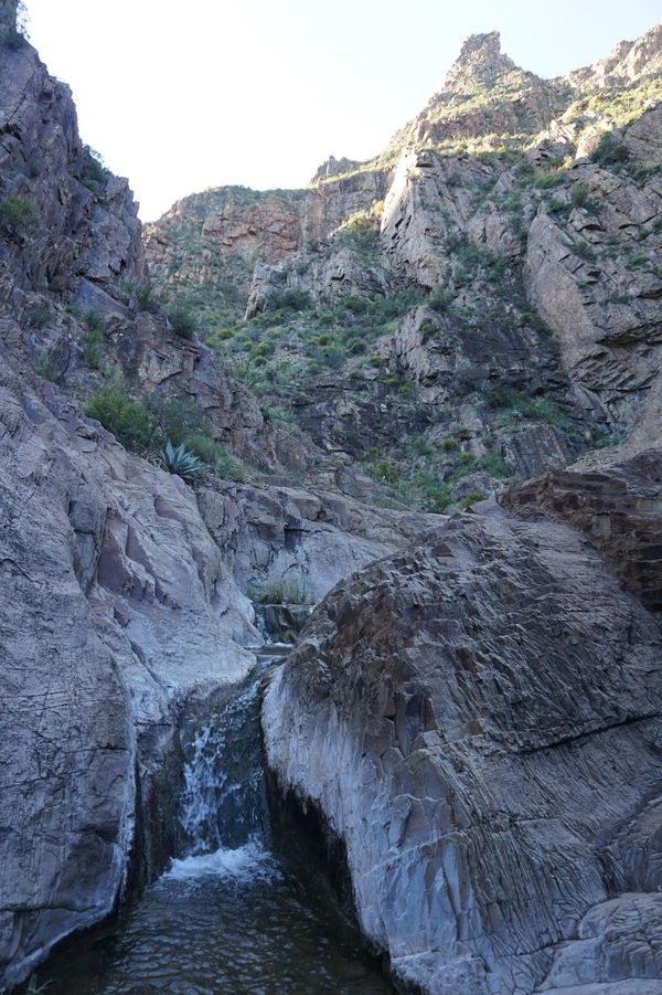 Window Trail Big Bend NP