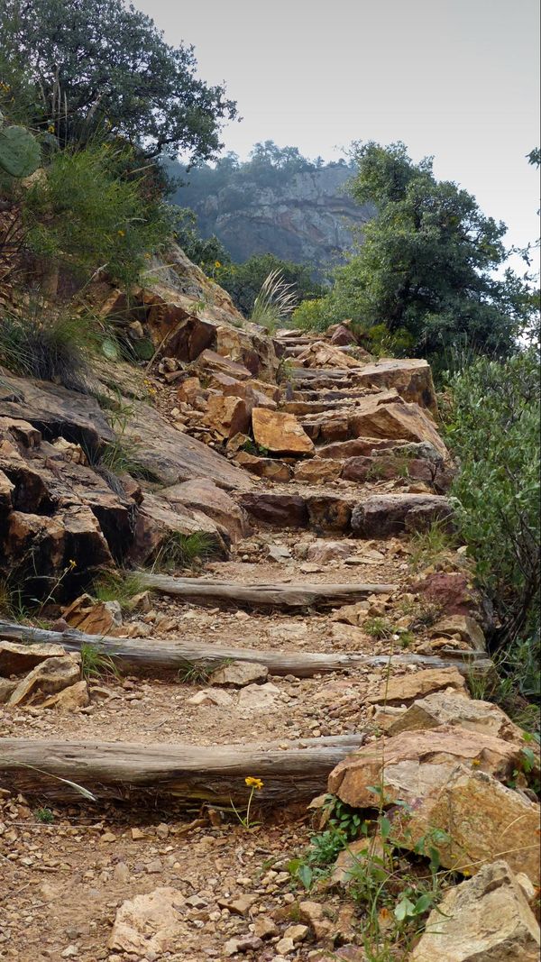 Lost Mine Trail Big Bend