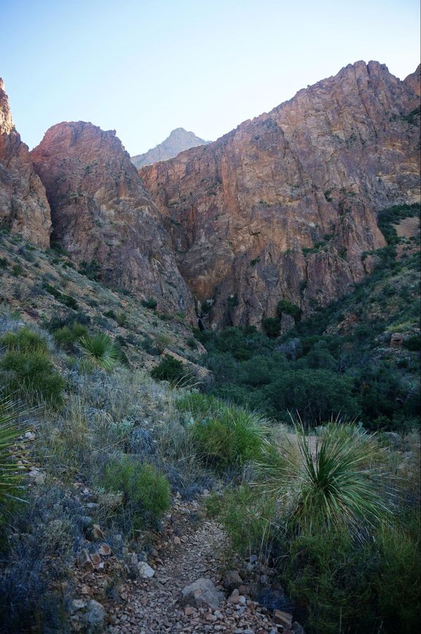 Cattail Falls Trail Big Bend