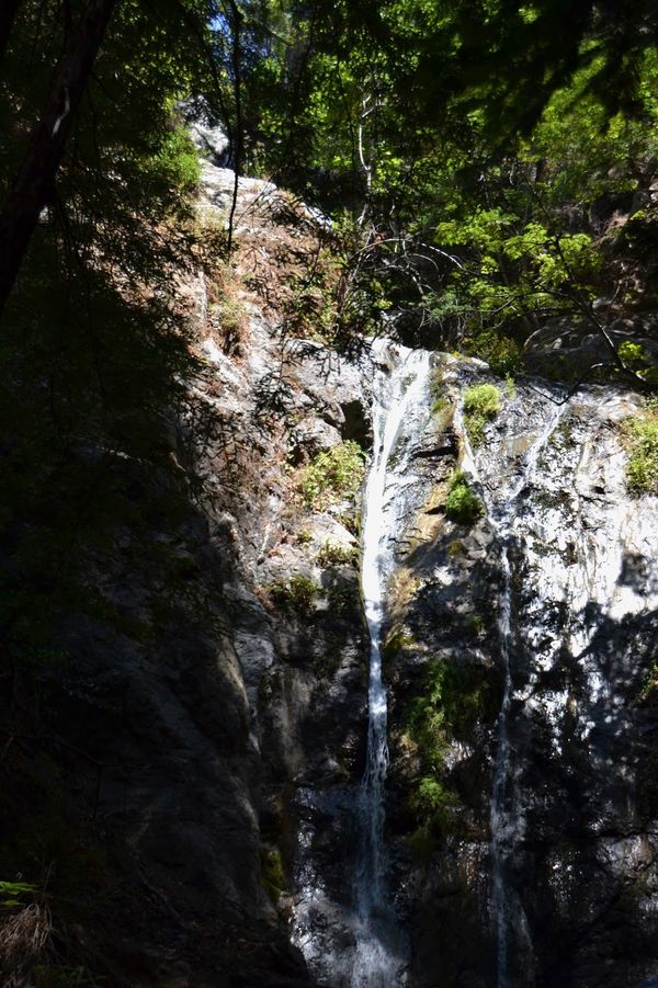 Pfeiffer Falls Trail