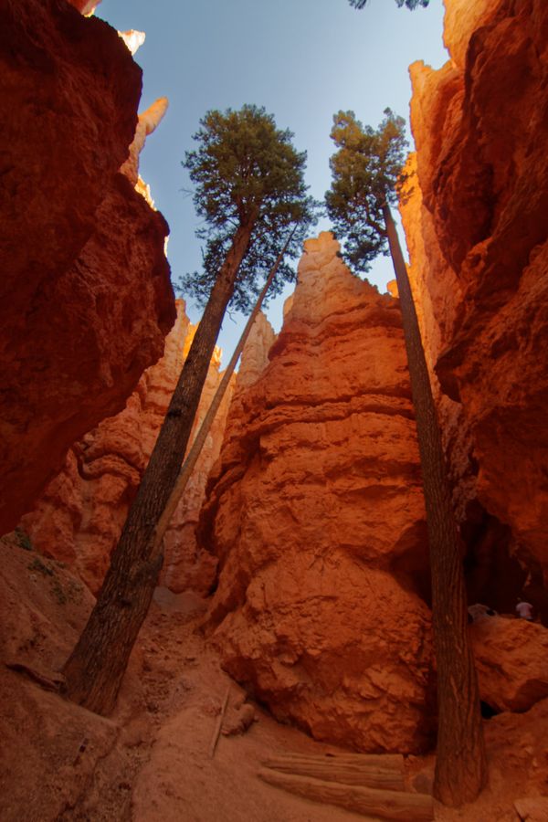 Navajo Loop Bryce Canyon NP