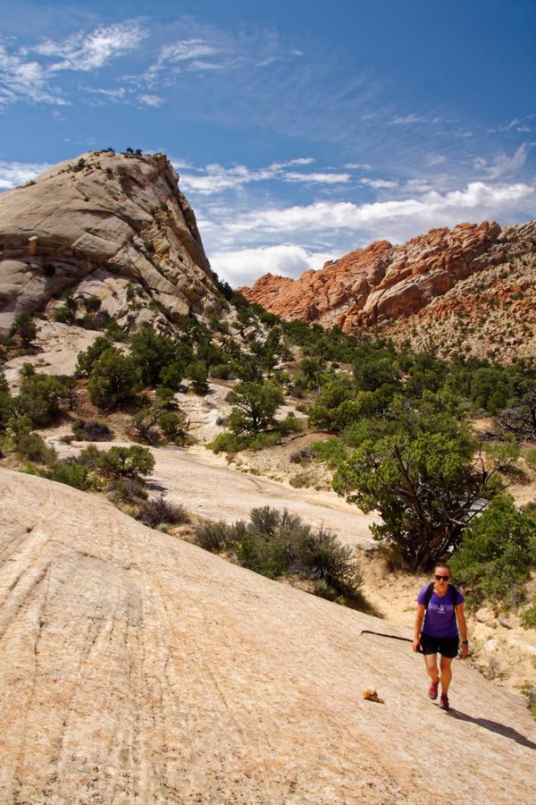 Grimpette sur le slickrock Upper Muley Twist Canyon Burr Trail Road Utah