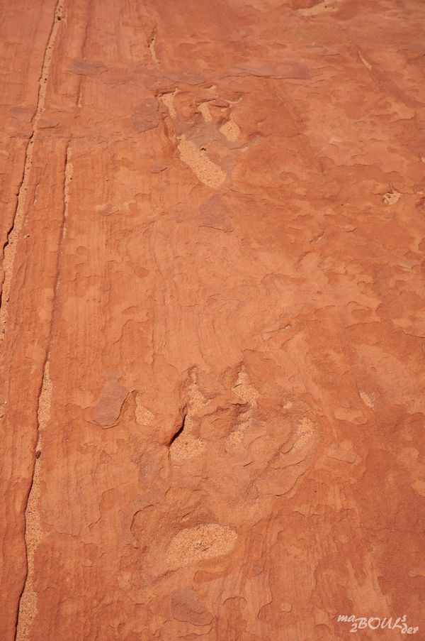 Sur les traces des dinosaures Coyote Buttes South Arizona