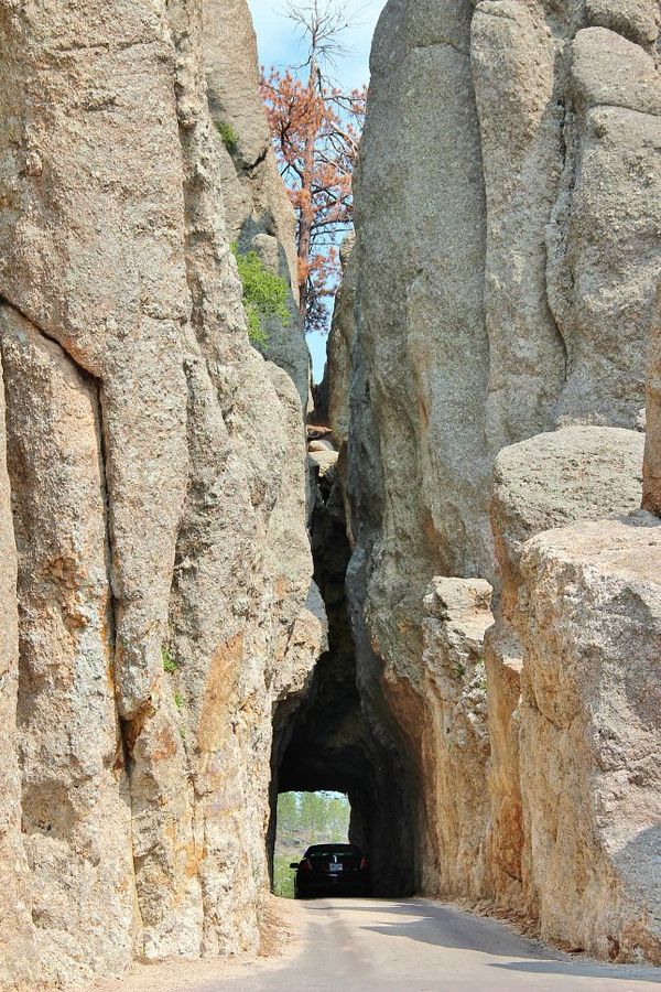 Needles Eye Tunnel Custer State Park