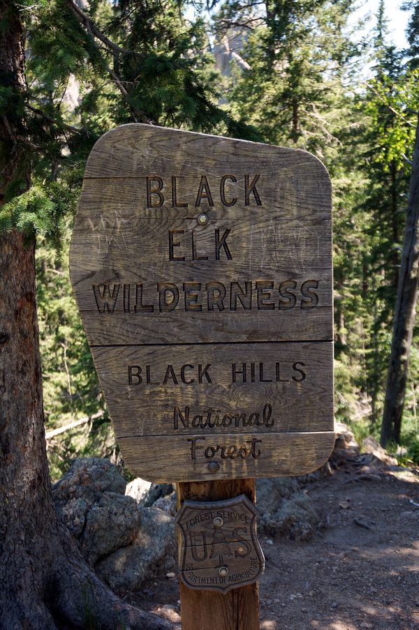 Black Elk Peak Custer State Park