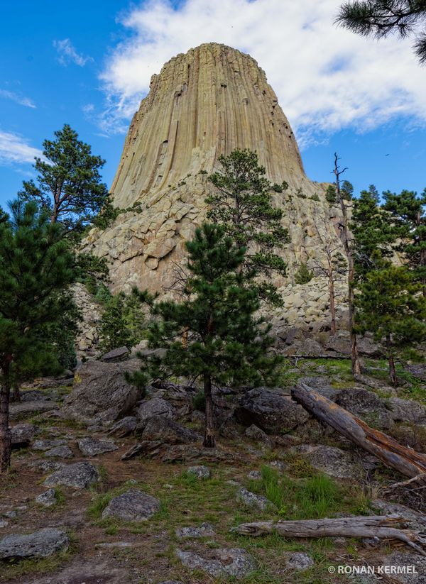 Tower Trail Devils Tower Wyoming