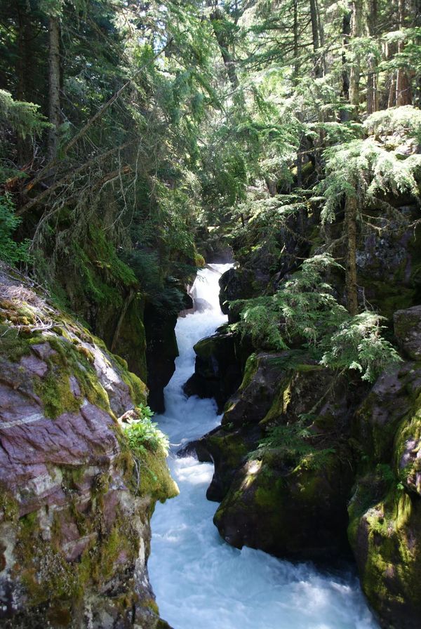 Trail of the Cedars Glacier National Park