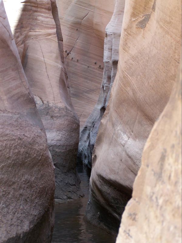Zebra Slot Canyon Hole in the Rock Road Utah