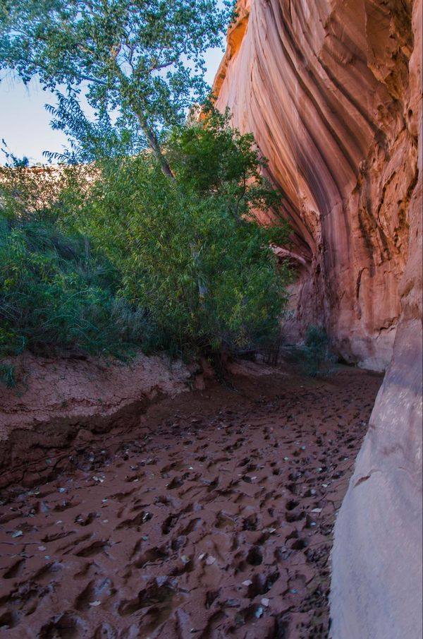 Marche vers Neon Canyon Hole in the Rock Road Utah