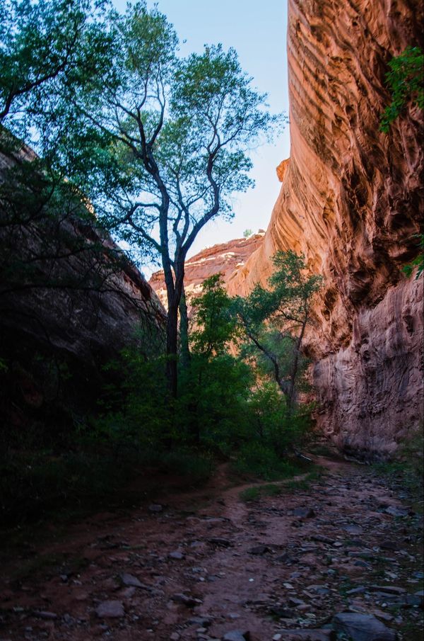 Marche vers Neon Canyon Hole in the Rock Road Utah