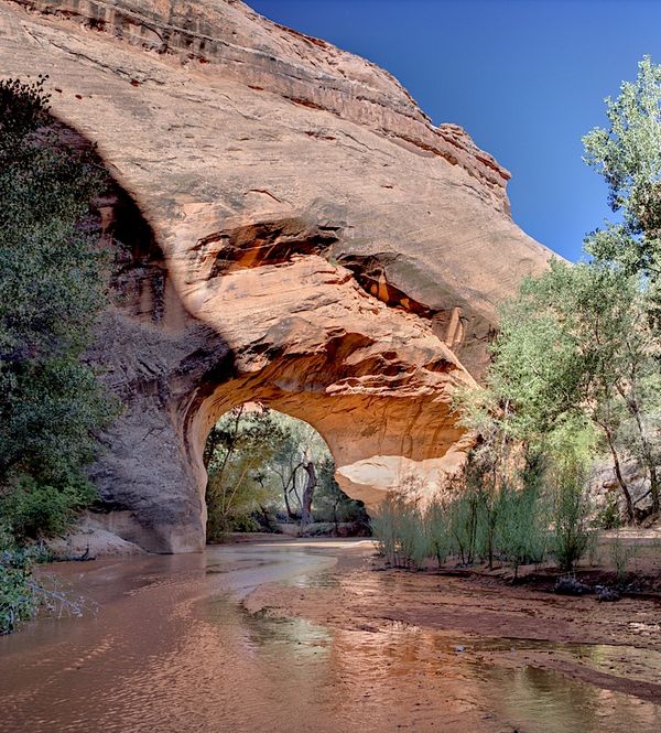 Coyote Natural Bridge Utah