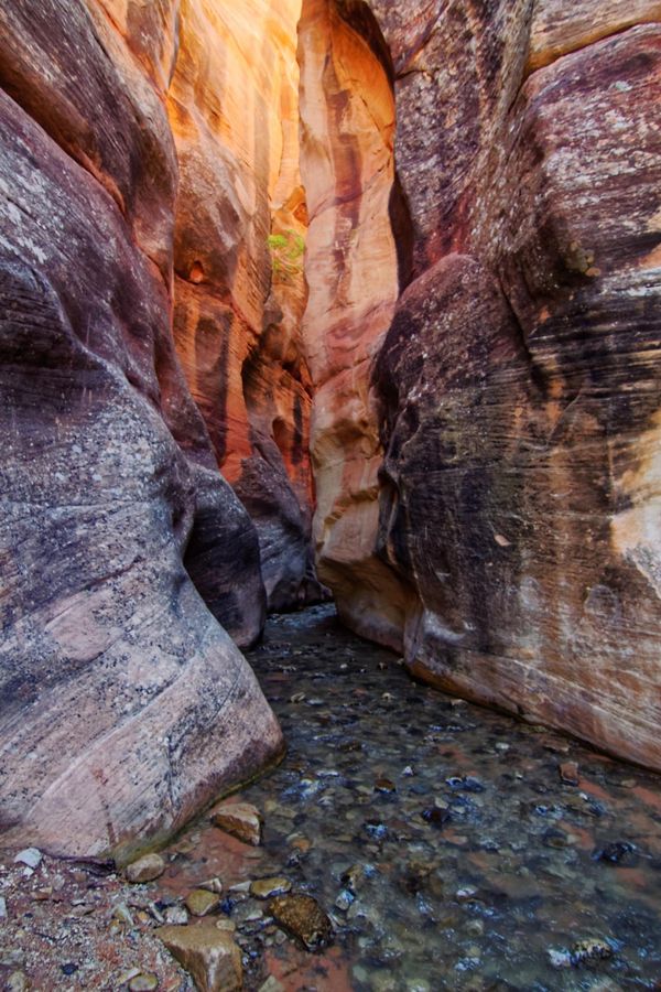 Slot canyon Kanarra Creek Utah