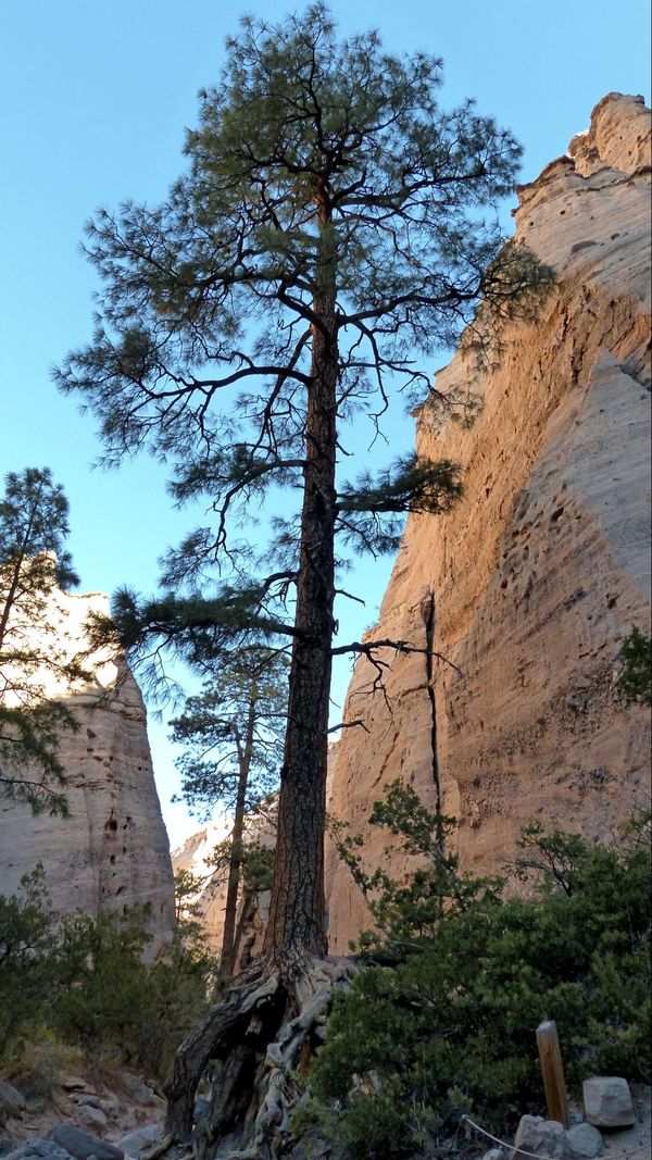 Slot Canyon Trail Kasha-Katuwe Tent Rocks