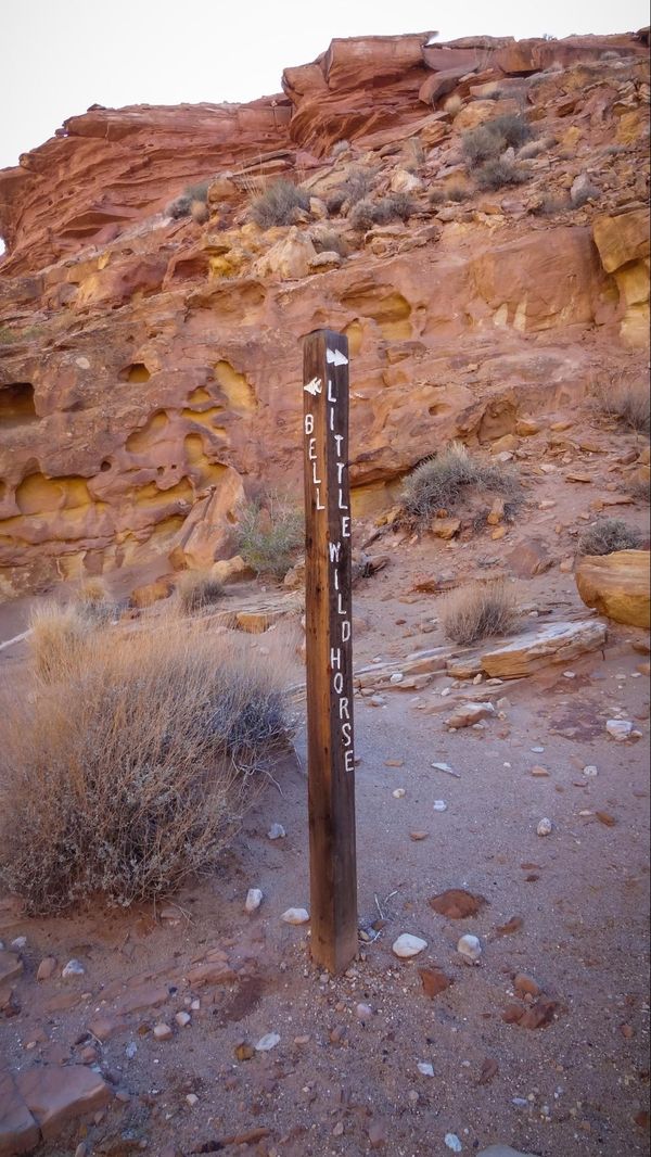 A la croisée des canyons Little Wild Horse et Bell