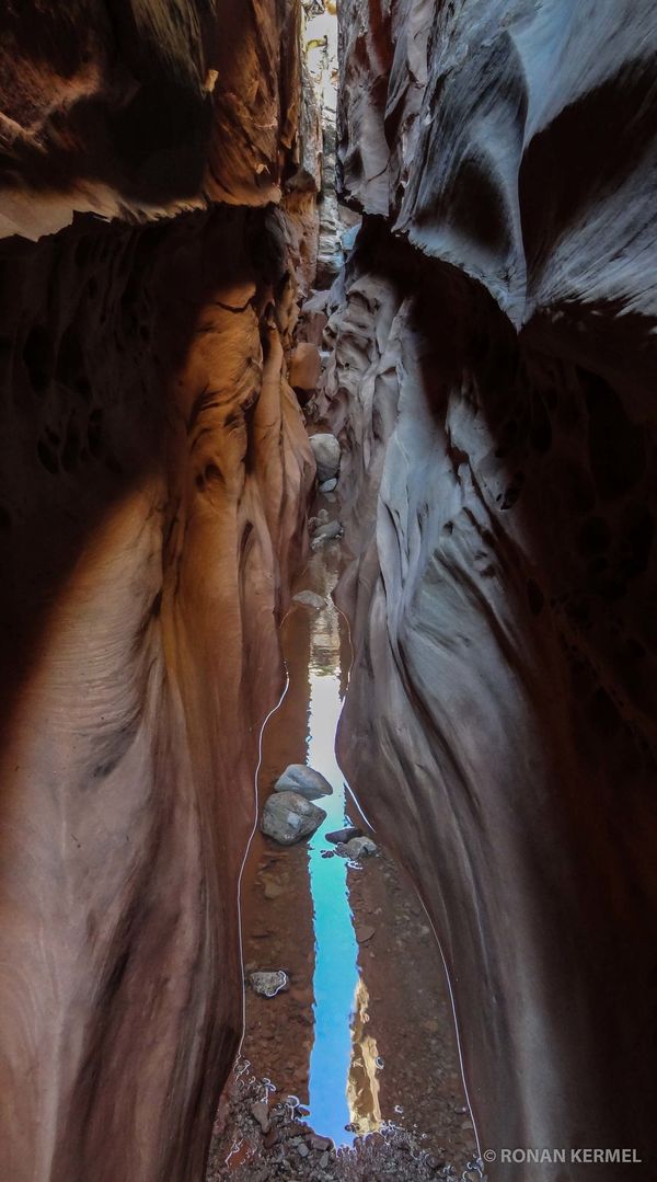Little Wild Horse Canyon après la pluie
