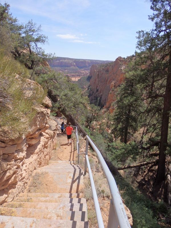 Aspen Trail Navajo National Monument