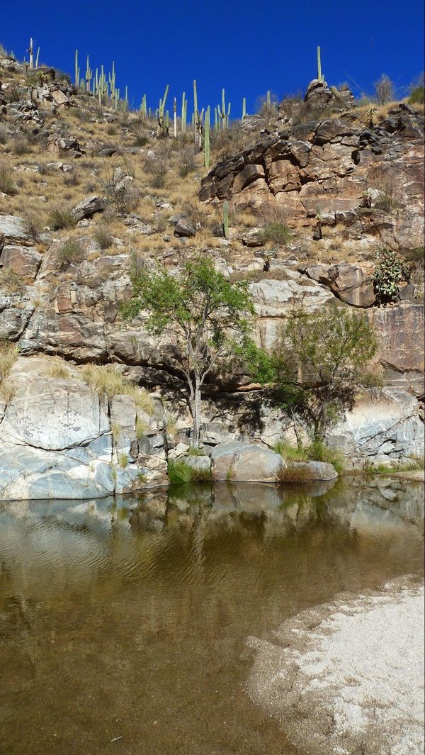 Sabino Canyon Arizona