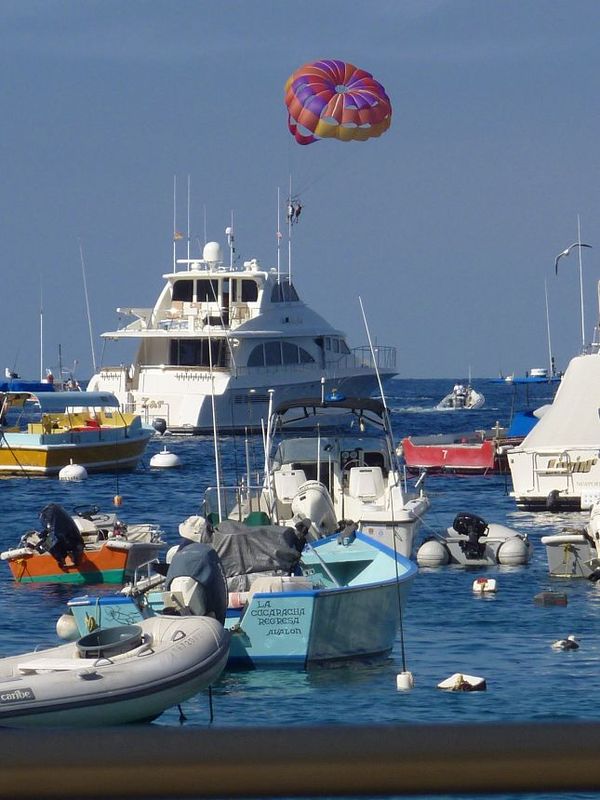 Bateaux Avalon Santa Catalina Island