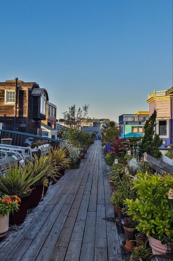 Liberty Dock Sausalito