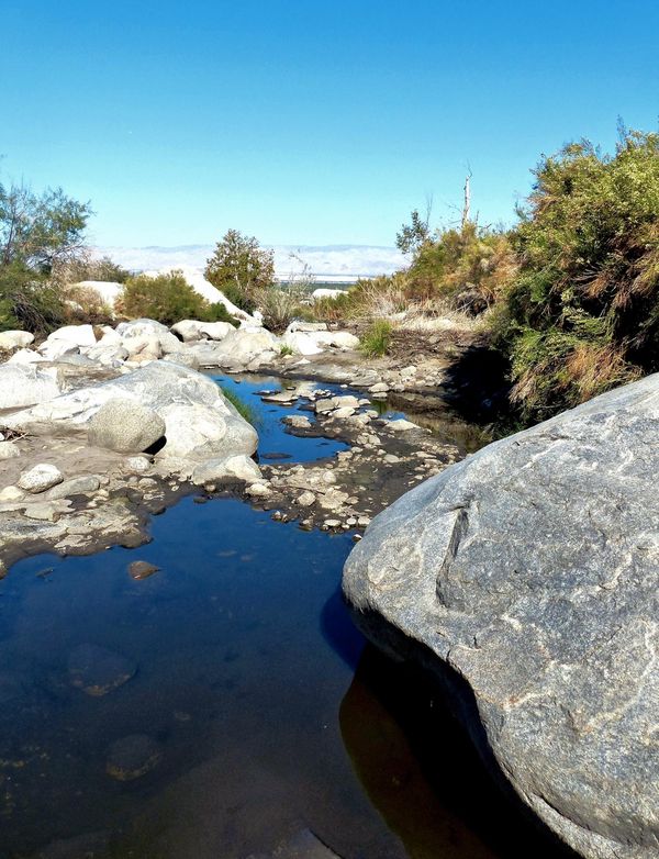 Tahquitz Canyon