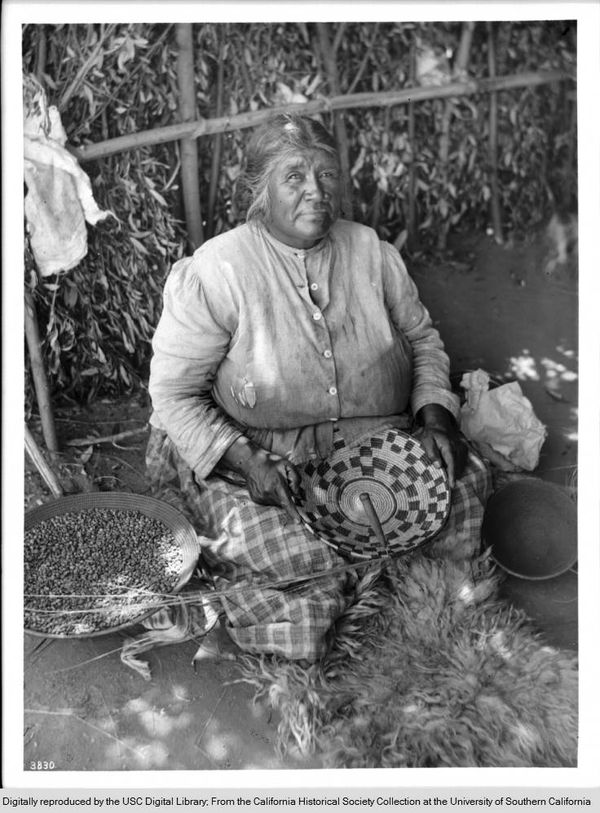 Agua Caliente Indian woman, Mercedes Nolasquez, basket maker 1900