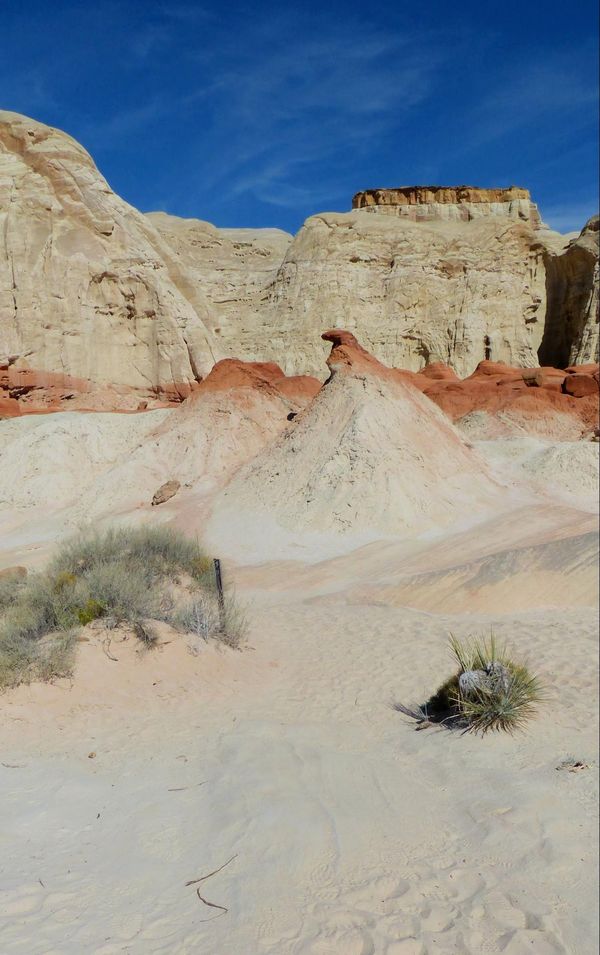 Toadstool Hoodoos Utah