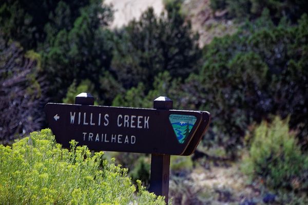 Panneau Willis Creek Trailhead