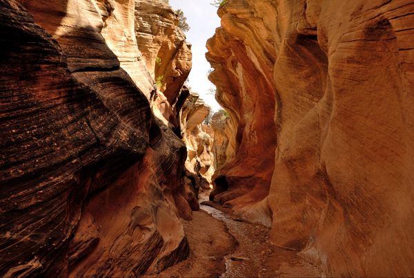 Willis Creek Slot Canyon