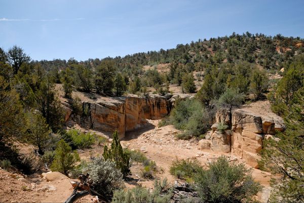 Vue sur le canyon de Willis Creek au départ de la randonnée