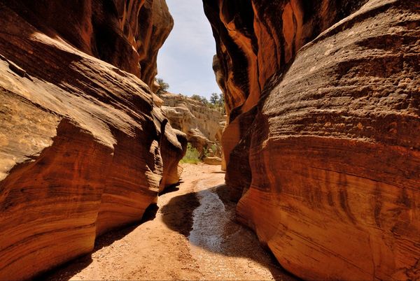 Willis Creek Slot Canyon