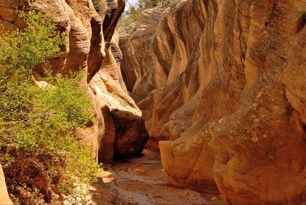 Willis Creek Slot Canyon