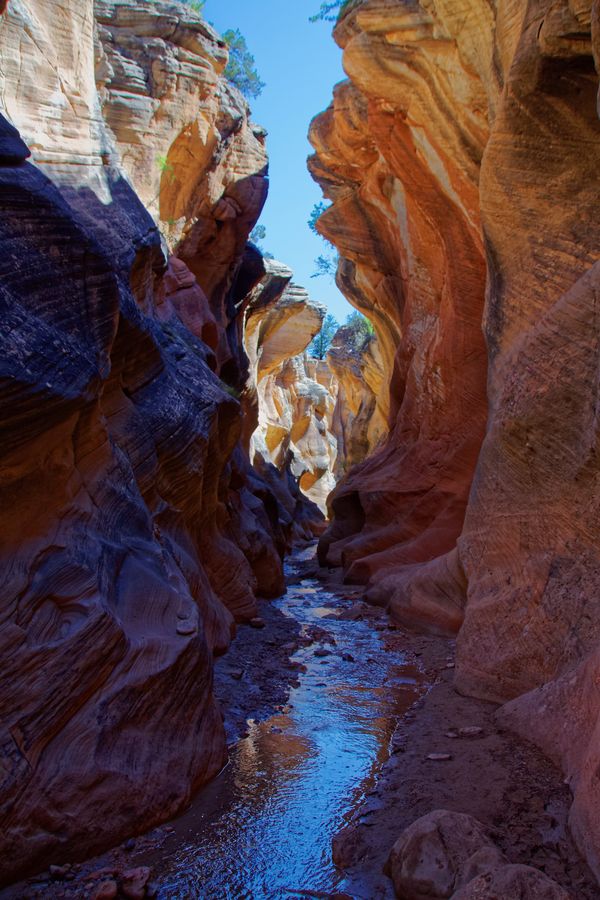 Willis Creek Slot Canyon