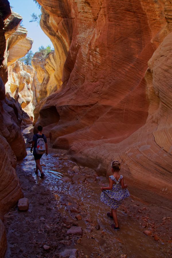 Willis Creek Slot Canyon